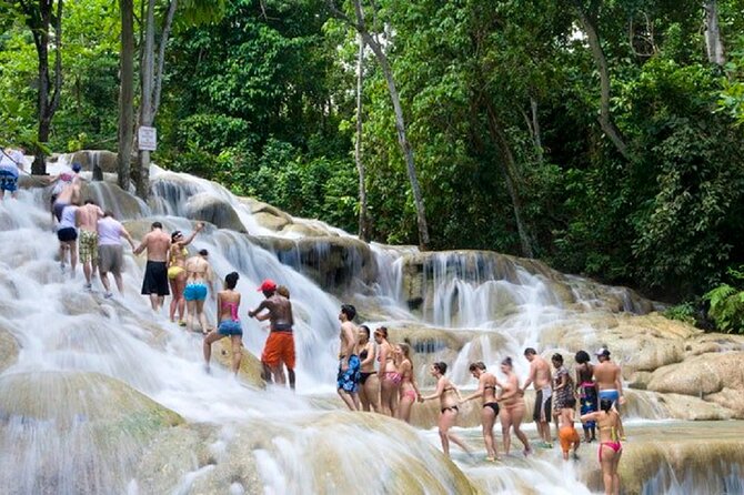 Dunns River Falls & Luminous Lagoon Guided Tour With Admission From Falmouth - Dunns River Falls Exploration