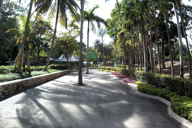 Dunns River Falls Park and Beach - Exploring the Falls