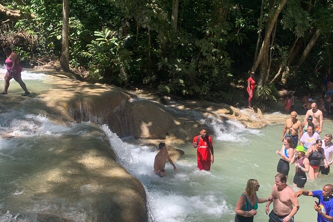 Dunns River Falls, Zipline Adventure From Kingston - Customer Feedback