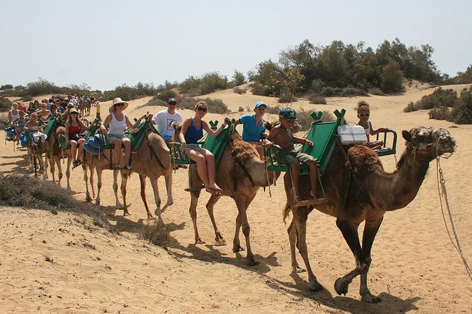 E-Bike City Tour Optional Camel Safari on the Maspalomas Dunes - Cancellation and Booking Policy