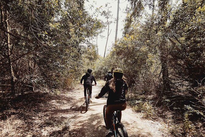 E-Bike Wild Experience With Transport From Porto and Braga - Explore Viana Do Castelo