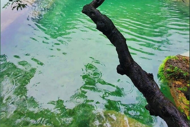 East Salalah Mountain Safari - Discovering Omans Natural Wonders
