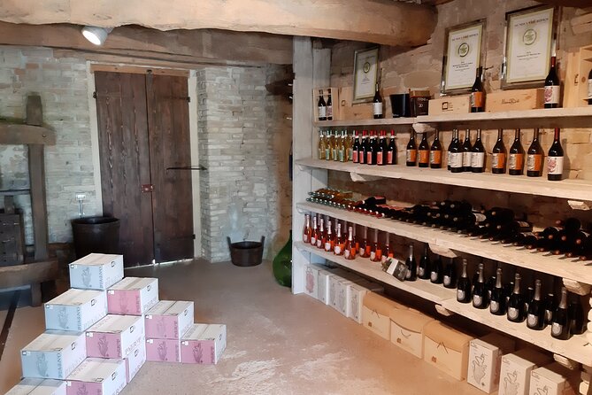 EBIKE Tour With Organic Wine Tasting - Customer Reviews