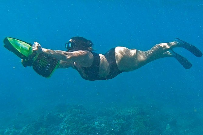 Eco Sea Scooter Guided Beach Tour From The Famous Kapalua Bay - Highlights From Customer Feedback