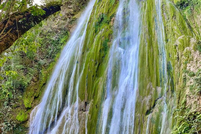 Ecolodge Overnight Experience El Limon Waterfalls, Samana, DR. - Dining and Meals