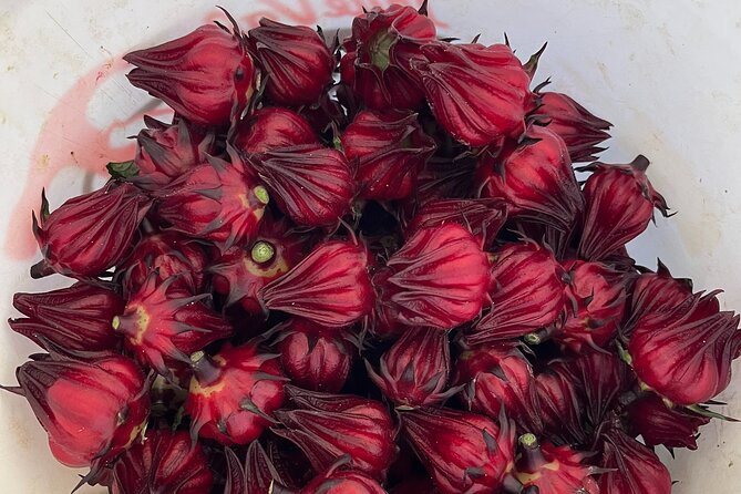 Edible Hibiscus Guided Farm Tour (Big Island) - Sum Up