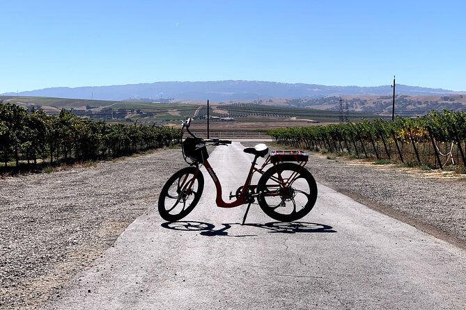 Electric Bike Rental in Livermore - Customer Reviews and Ratings