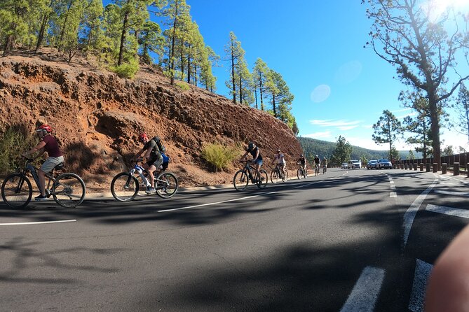 Electric Bike Teide Volcano Guided Tour - What to Expect