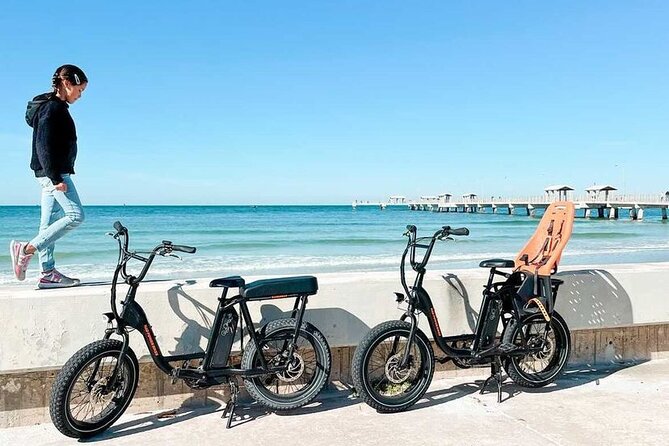 Electric Bike Wildlife & History Tour Along Fort De Sotos Beaches - Customer Feedback and Reviews