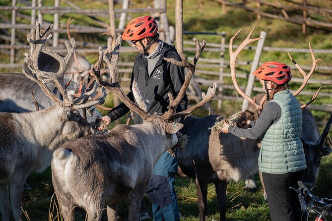 Electric Fatbike Trip to the Reindeer Farm - Returning to the Starting Point