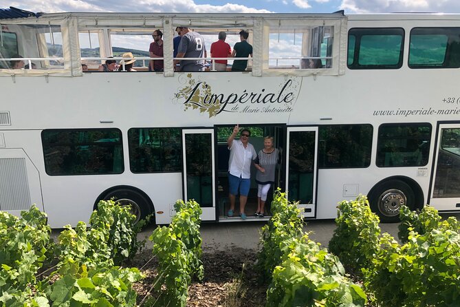 Epernay and Vineyards With Champagne Tasting - Activity Overview