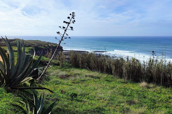 Ericeira Private Tour: 10 Tastings Food Tour - Exploring Ericeiras Culinary Delights