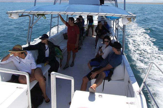 Espiritu Santo Island Snorkel & Sea Lion Adventure - Customer Experiences and Highlights