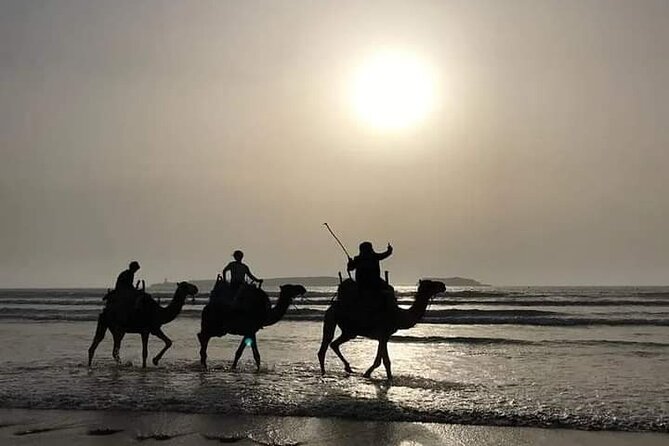 Essaouira: 3-Hour Camel Tour - Picturesque Landscape and Scenery