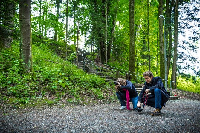 Essential Lucerne Photography Tour - Cancellation Policy