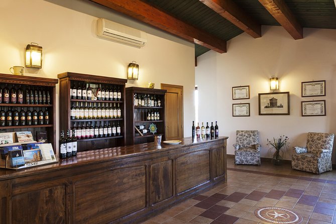 Etna DOC & Organic Wine Tasting and Tour of the 1815 Historic Winery - Local Food Specialties