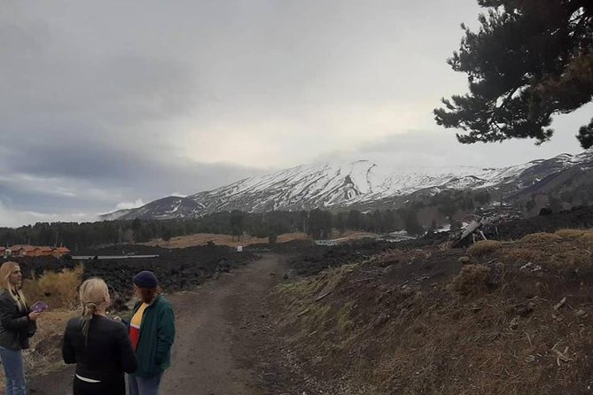 Etna Tour Full Day - Highlights of the Tour