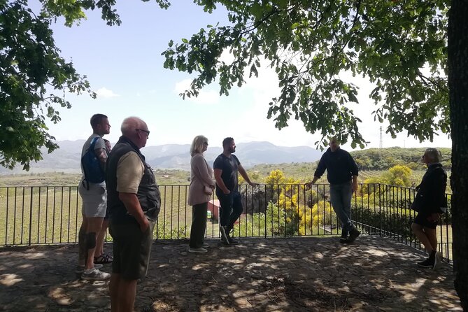 Etna Wine And Taormina From Messina - Volcano Exploration