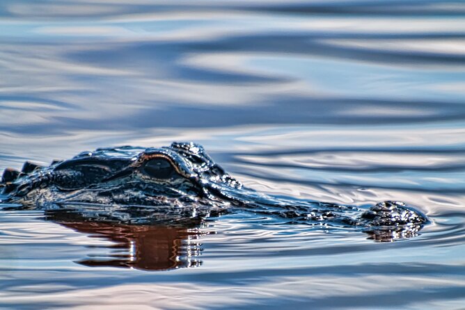 Everglades Admission Ticket With Airboat Ride and Wildlife Show - Expectations and Preparation
