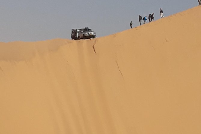 Exhilarating Sandwich Harbour 4x4: Guided Self Drive Experience - Tour Highlights and Activities