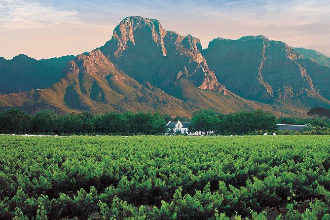 Experience 16 Wine Tasting & 6 Cheese Pairing Across 3 Vineyards - Transportation and Accessibility
