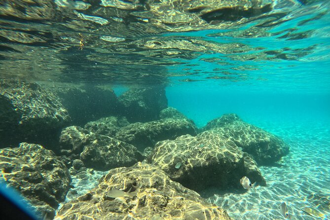 Experience Peanut Island Adventures - Accessibility and Health Considerations