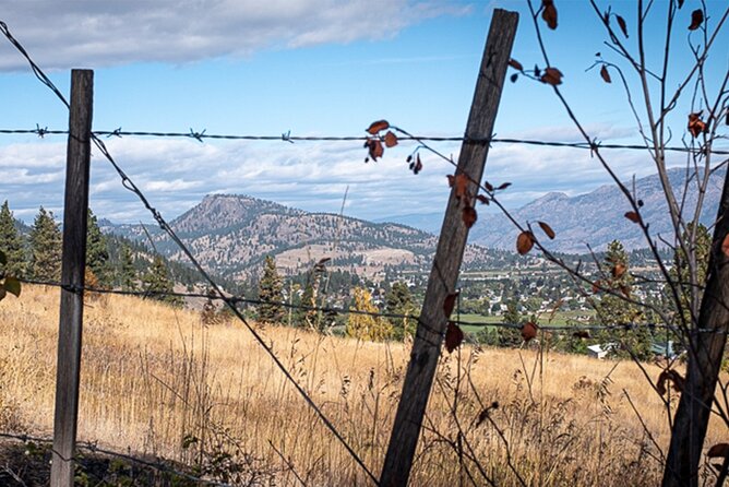 Explore and Learn the Natural Wonders of Summerland - Spotting and Tracking Wildlife