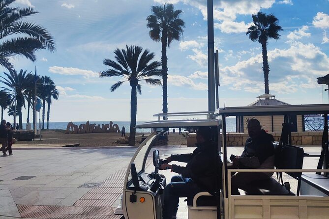 Explore Malaga by TukTuki : Essentials and Private Tour - Pricing and Cancellation