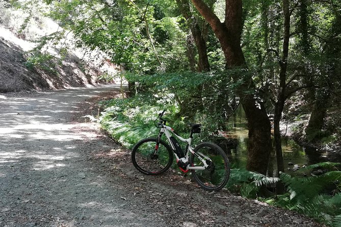 Explore Paphos Forest With E-Mountain Bikes - Booking and Pricing Details