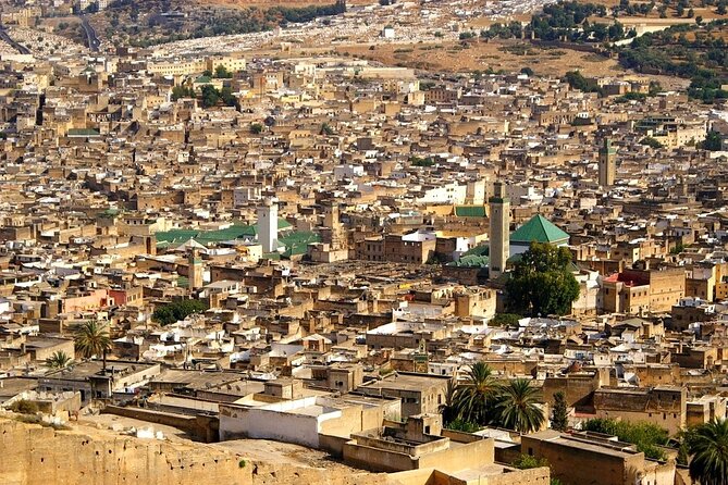 Explore the Hidden Gems and Main Sites of the Fes Medina - Navigating the Labyrinthine Alleyways