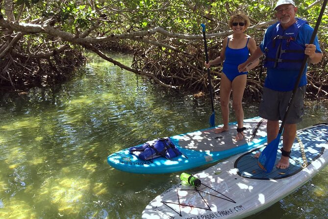 Explore the Mangrove Creeks With an ALL Day Tandem Kayak Rental - Health and Safety Considerations