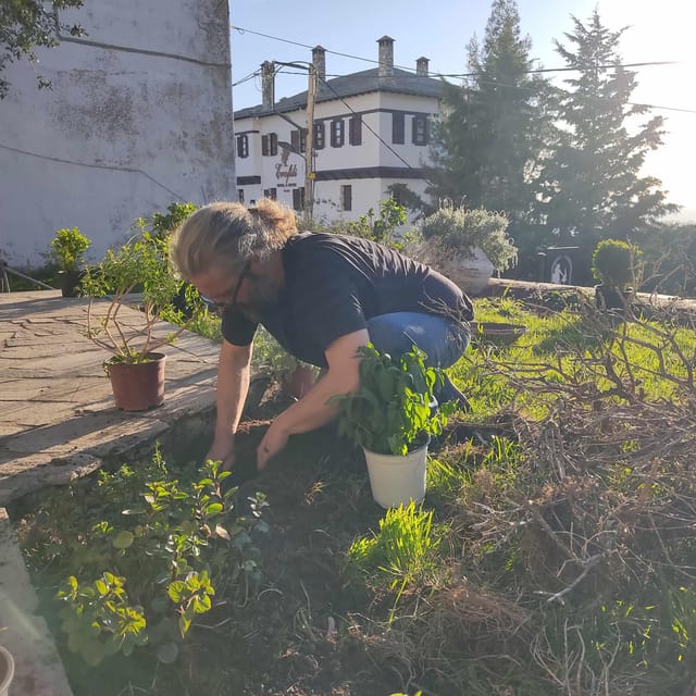 Exploring Herbal Treasures: A Guided Herbal Walk on Pelion - Flexible Booking Options