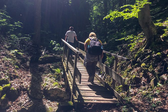 Exploring the Gutenstein Alps - Guided Tour Experience