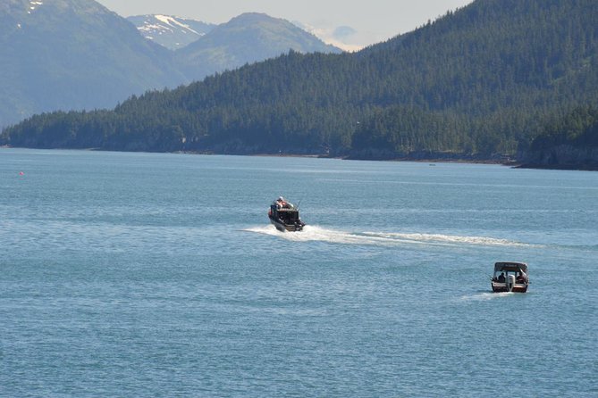 Exquisite Wildlife & Wilderness Photo Tour Anchorage -Whittier - Exceptional Traveler Feedback