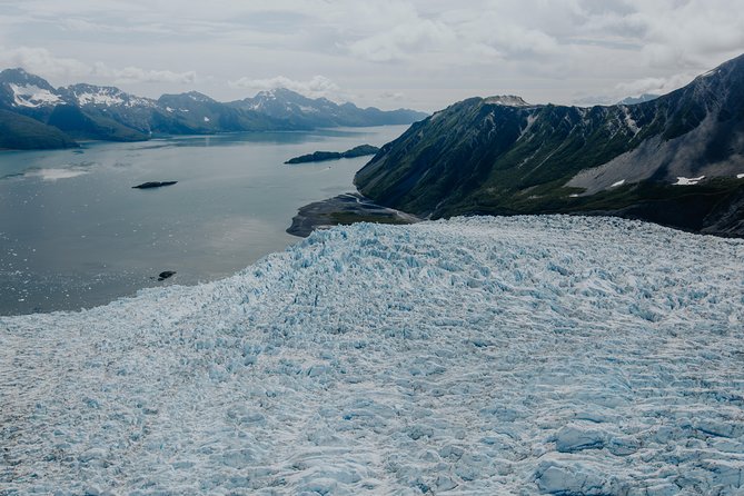 Extended Bear Glacier Scenic Flight - Wildlife Viewing Opportunities