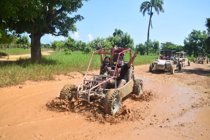 Family Buggy Ride Through the Dominican Countryside - Booking and Cancellation