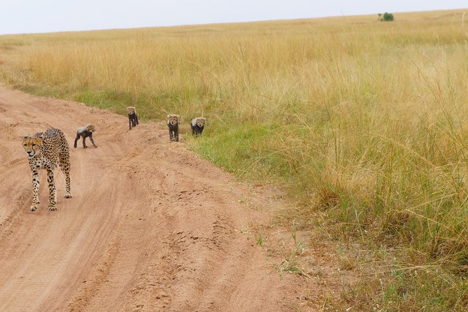 Family & Friends Safari Full Package . - Tips for Travelers