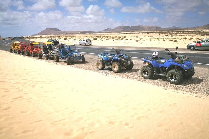 Family Or Double Buggy Safari & Bedouin Village in Sharm - Buggy Safari Experience
