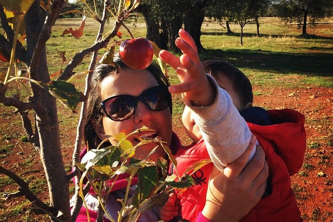 Farm-to-Table Cooking Class in an Organic Farm, Laconia, Greece! - Beverages and Homemade Snacks