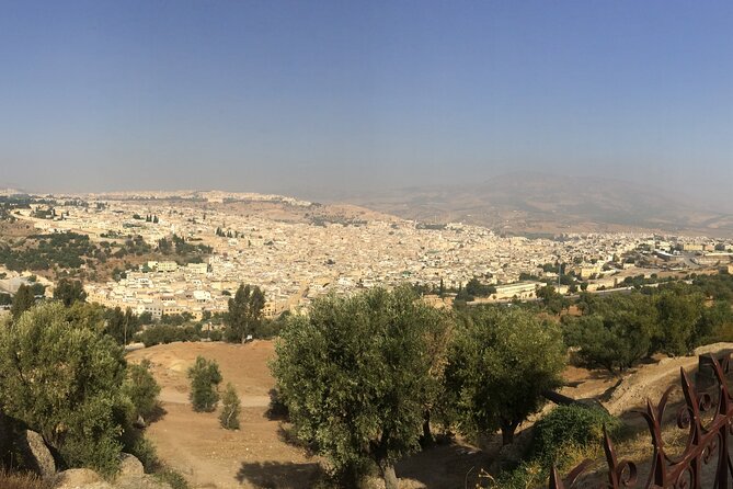 Fez Day Trip From Casablanca - Reviews and Experiences