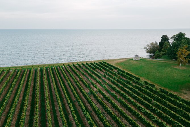 Fireside Flights Outdoor Tasting Experience - How to Book