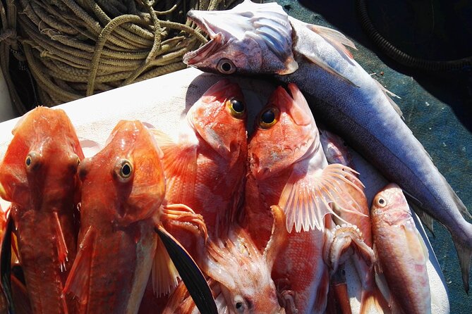Fishing Experience Around Capri From Sorrento With Lunch Onboard - Significance of Locally Sourced Bio Products