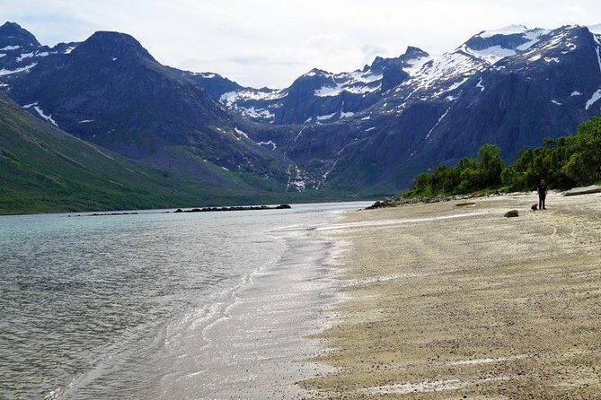 Fjord Sightseeing - Eco Friendly Tesla Model X - Eco-Friendly Tesla Ride