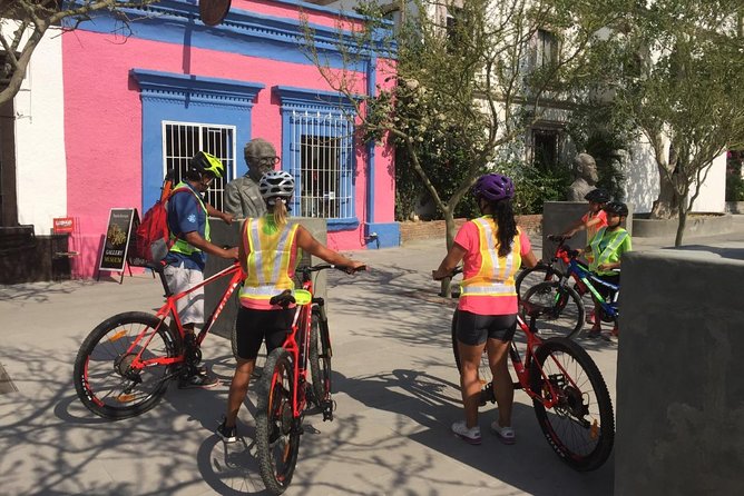 Following the Bike Lane, Discover the Main Attractions of San José Del Cabo - Exploring the Estuary