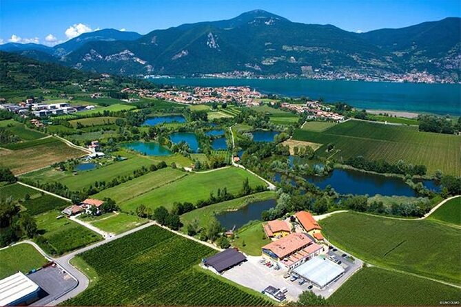Franciacorta Winery Experience Review - Booking and Reservation Options
