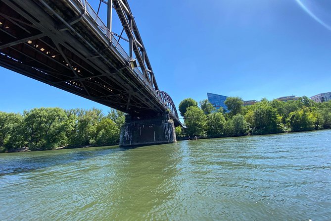 Frankfurt - Mainz Premium Day Trip by Boat With Sightseeing & Wildlife, F&B - Wildlife and Nature