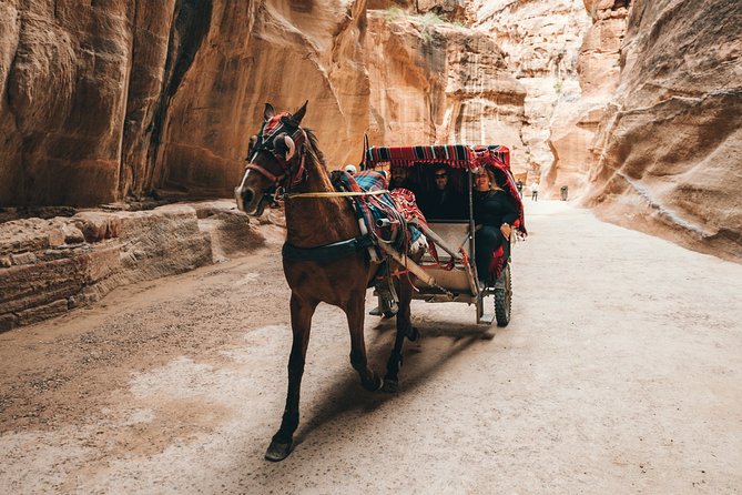 From Amman | Dead Sea and Petra in One Day | Admission Fees Included - Unforgettable Experience