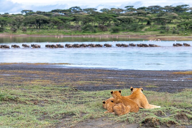 From Arusha: 11 Days the Classics Northern Tanzania Safari - Photography Opportunities