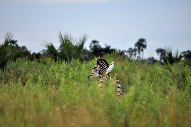 From Arusha: Tarangire and Ngorongoro Crater 3-Day Private Safari - Highlights of Tarangire National Park