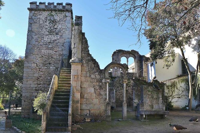 From Celtics to Romans Quest Experience in Evora - Accessibility and Transportation Considerations